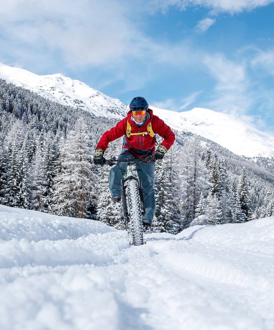 Fat Bike