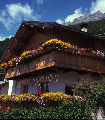 Secchi Cecilia