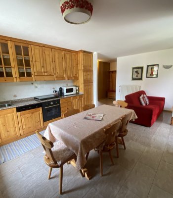 Appartamenti Domus Alpina