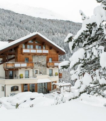 Hotel Vedig
