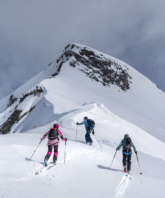 Ski mountaineering