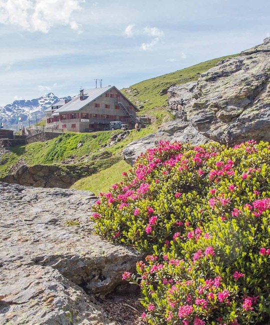 Rifugi e ristori