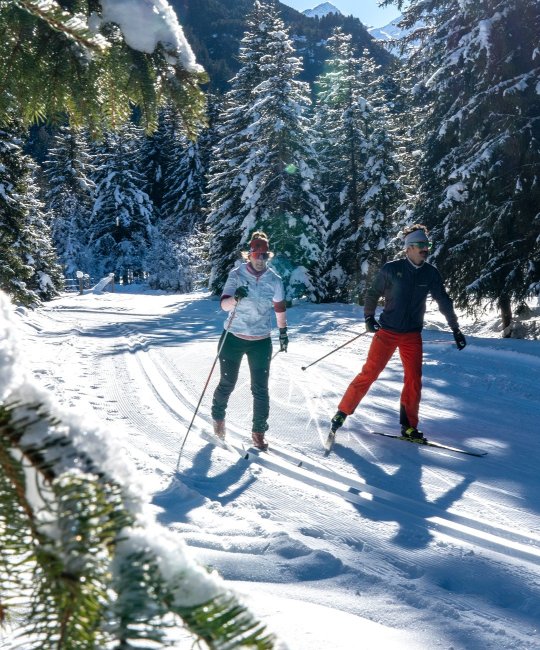 Cross-country skiing