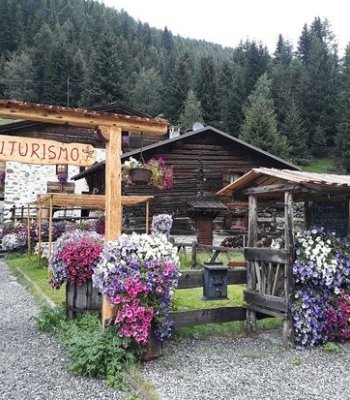 La casetta della Zia Edda agriturismo e area camper