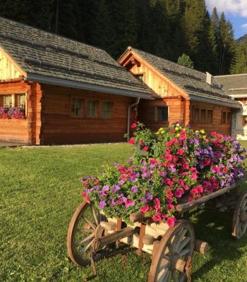 Alpine Chalet