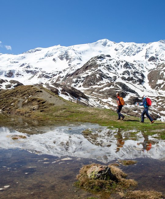 Sentiero Glaciologico basso - Valle dei Forni