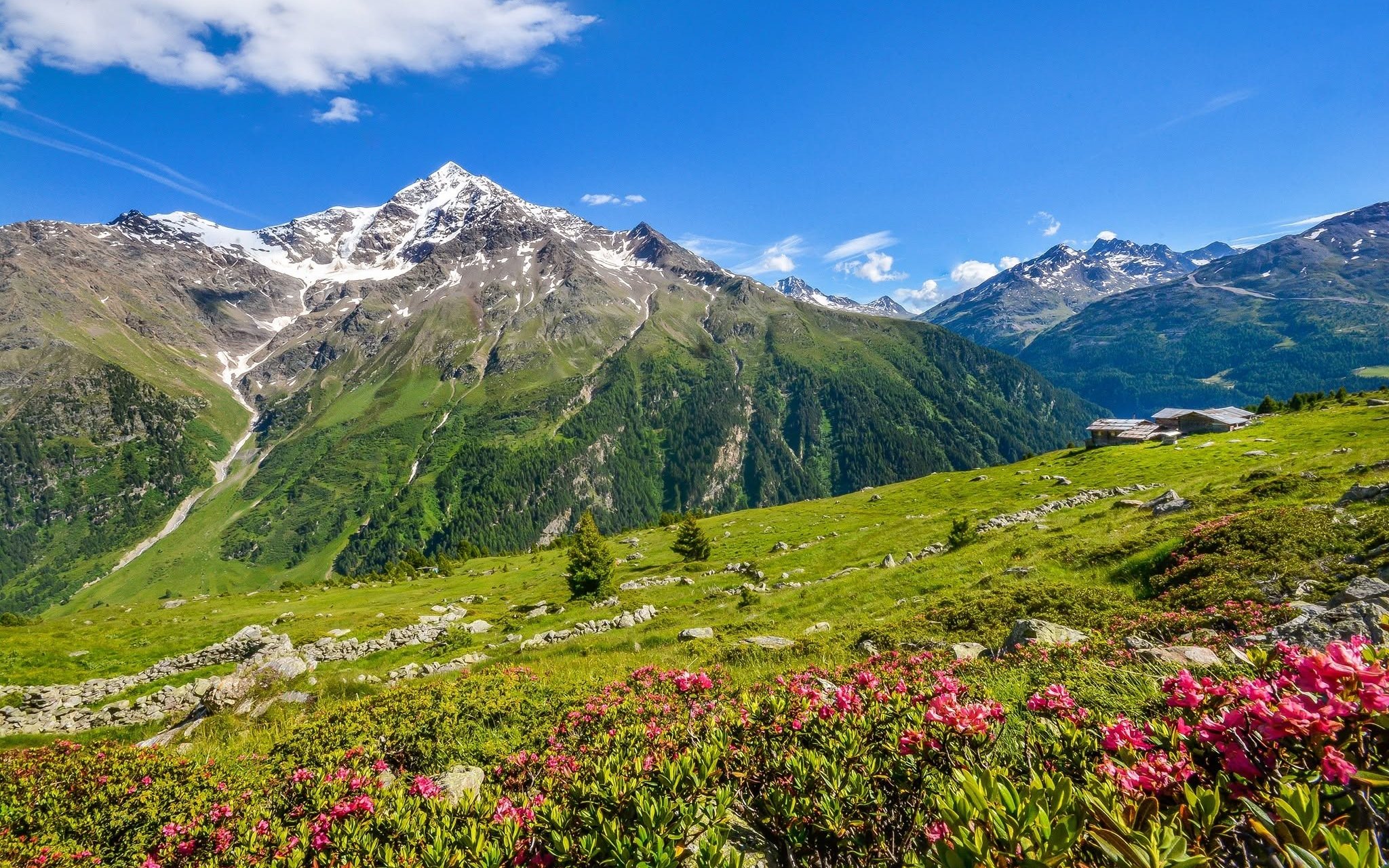 img_header