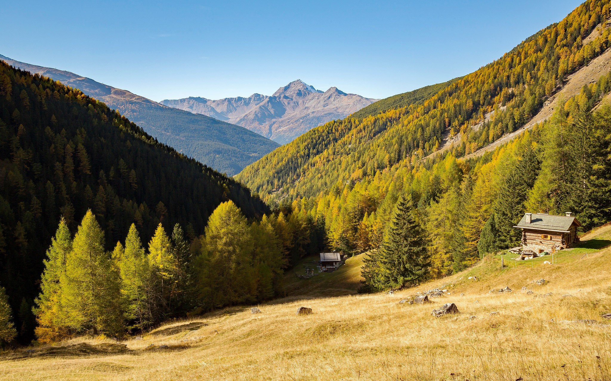 img_header