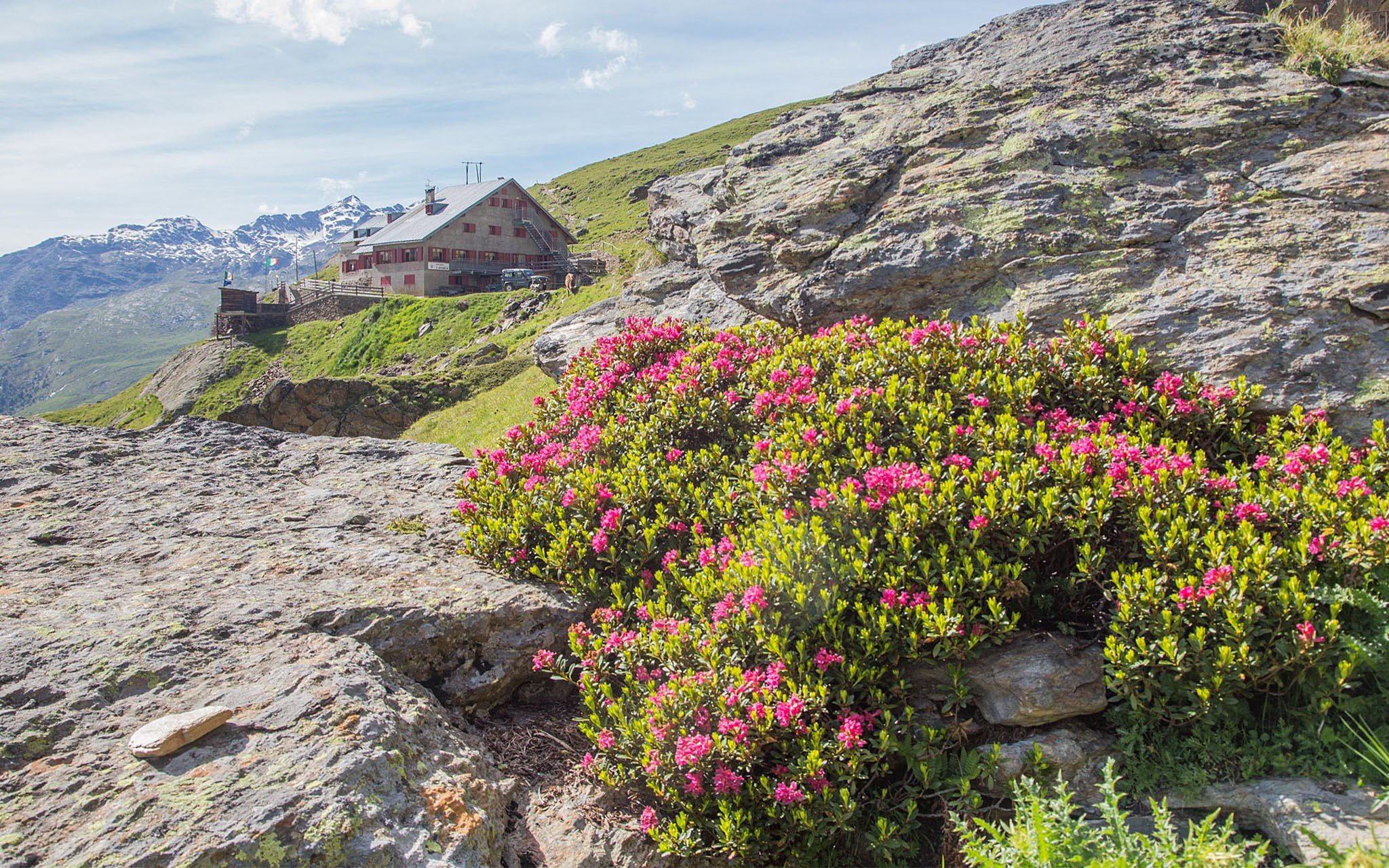 img_header